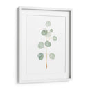 Soft Eucalyptus Branch Ii - Emma Scarvey | Cuadro decorativo de Canvas Lab