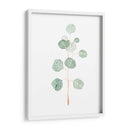 Soft Eucalyptus Branch Ii - Emma Scarvey | Cuadro decorativo de Canvas Lab