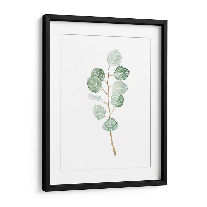 Soft Eucalyptus Branch Iii - Emma Scarvey | Cuadro decorativo de Canvas Lab