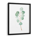 Soft Eucalyptus Branch Iii - Emma Scarvey | Cuadro decorativo de Canvas Lab