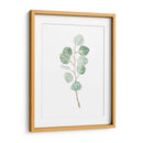 Soft Eucalyptus Branch Iii - Emma Scarvey | Cuadro decorativo de Canvas Lab