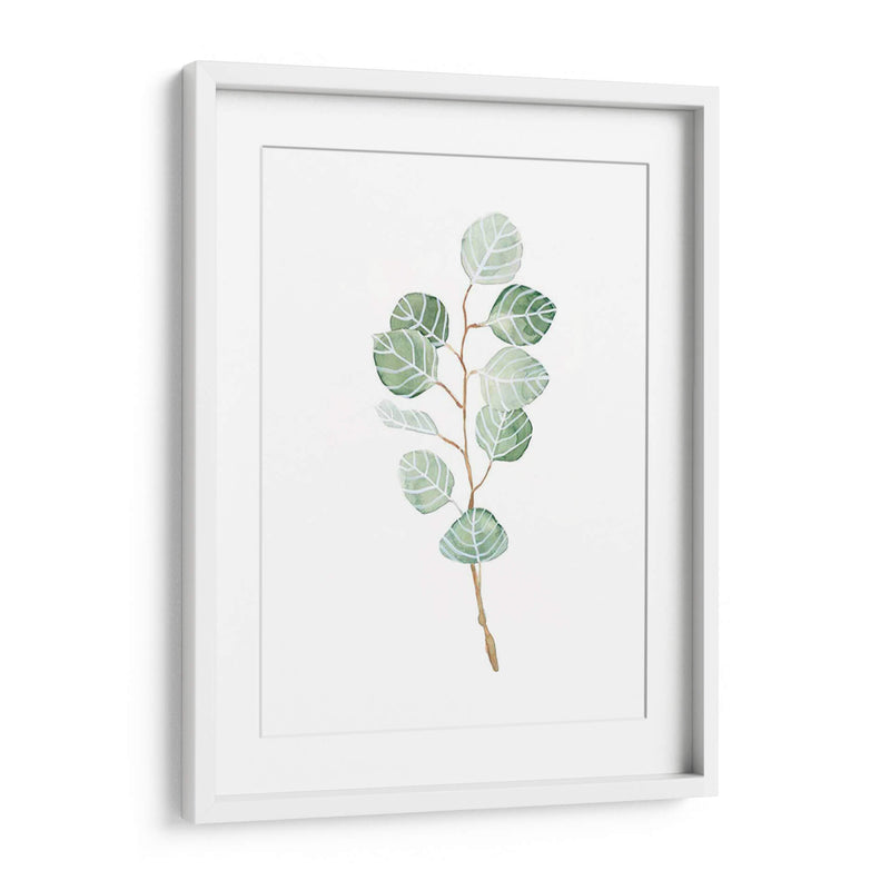 Soft Eucalyptus Branch Iii - Emma Scarvey | Cuadro decorativo de Canvas Lab