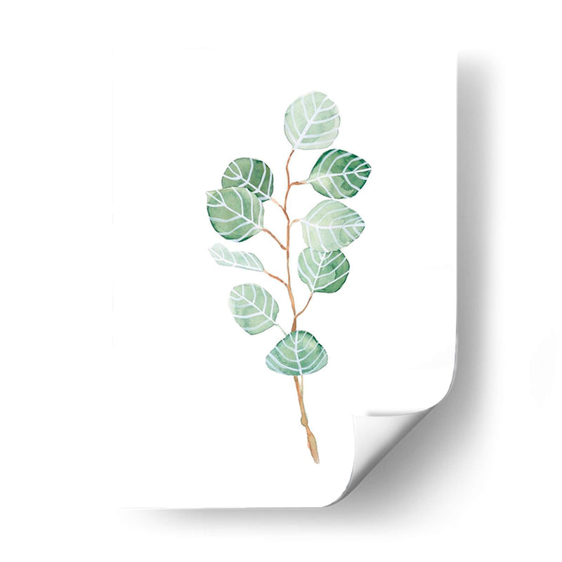 Soft Eucalyptus Branch Iii - Emma Scarvey | Cuadro decorativo de Canvas Lab