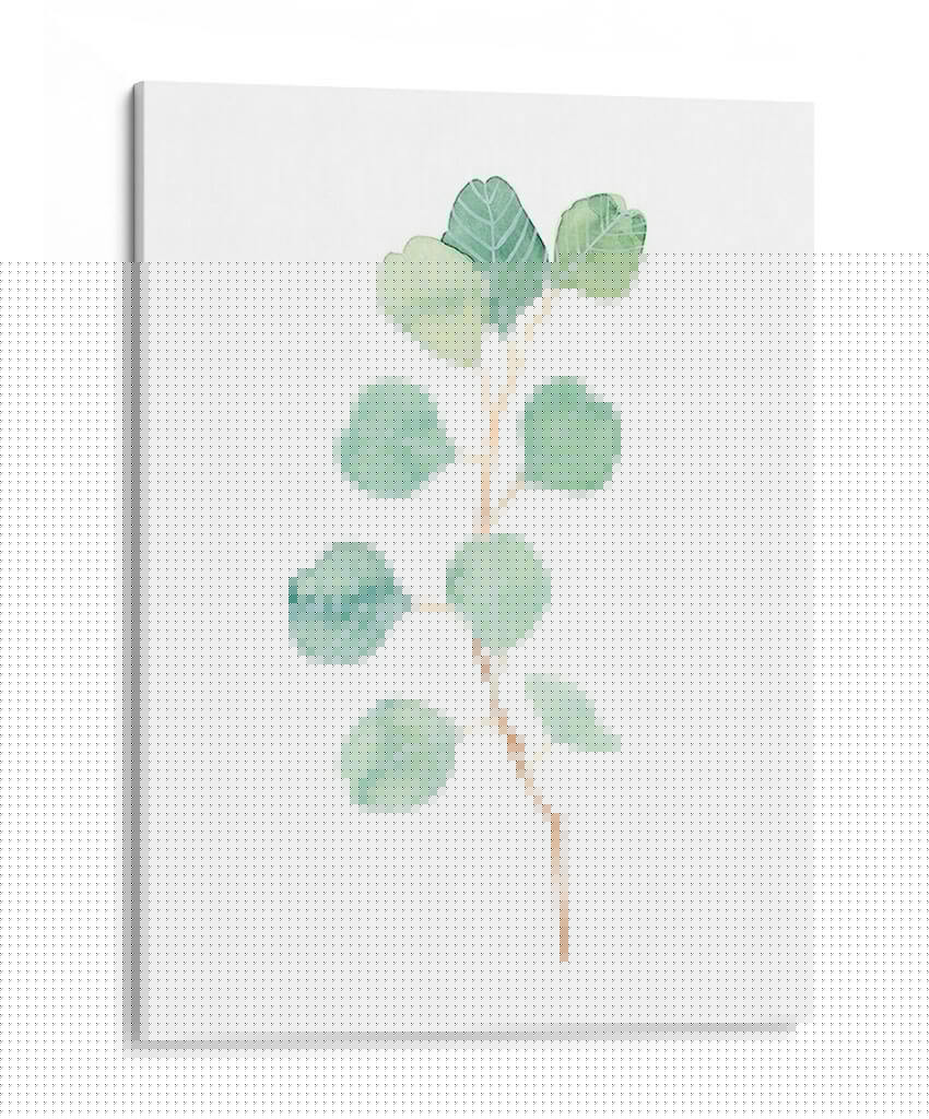 Soft Eucalyptus Branch Iv - Emma Scarvey | Cuadro decorativo de Canvas Lab