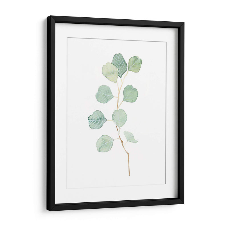 Soft Eucalyptus Branch Iv - Emma Scarvey | Cuadro decorativo de Canvas Lab