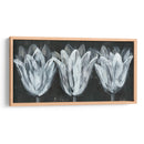 Trío Blanco En Negro I - Jennifer Goldberger | Cuadro decorativo de Canvas Lab