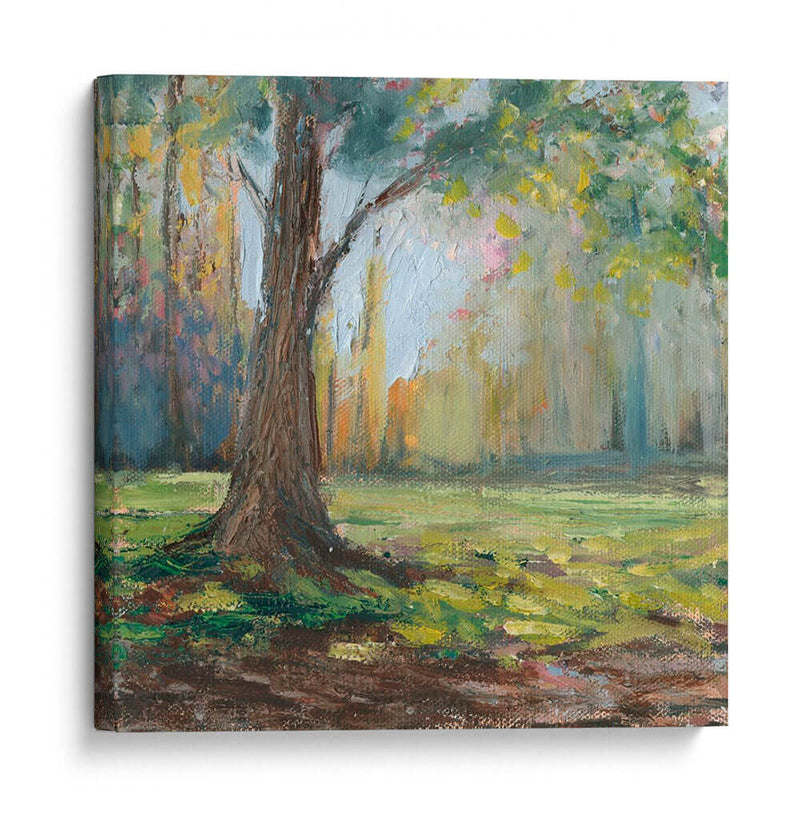 Camino Al Arbol I - Christopher J. Trew | Cuadro decorativo de Canvas Lab