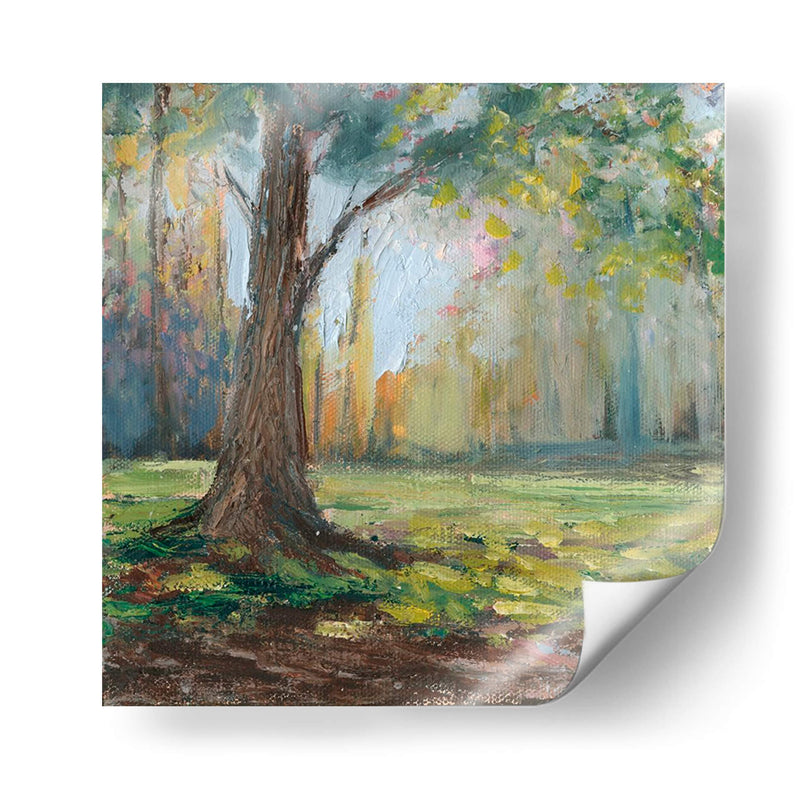 Camino Al Arbol I - Christopher J. Trew | Cuadro decorativo de Canvas Lab