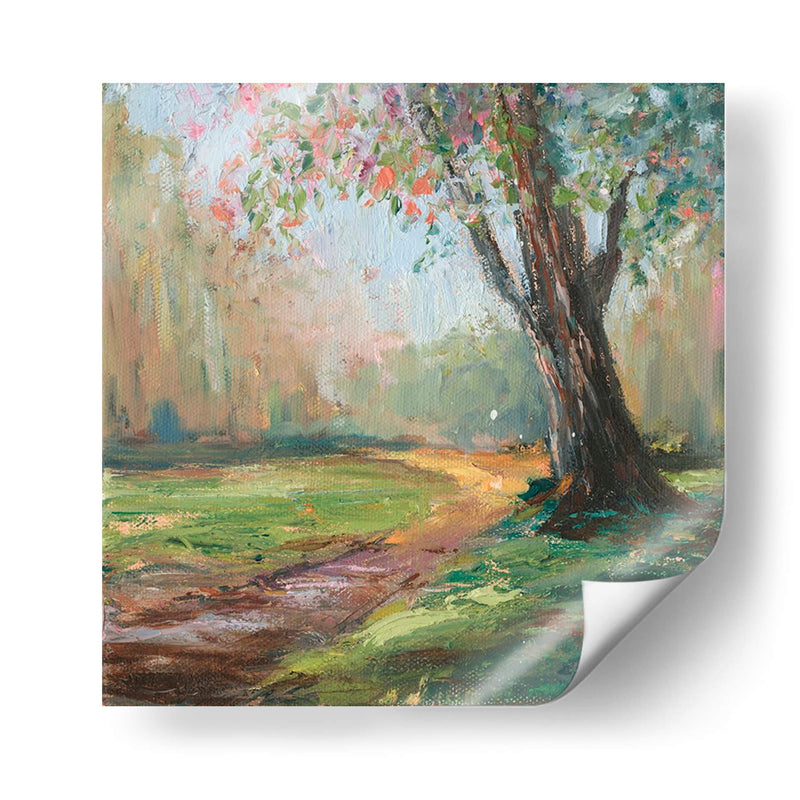 Camino Hacia El Árbol Ii - Christopher J. Trew | Cuadro decorativo de Canvas Lab