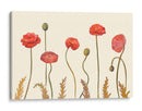 Pantalla De Amapola Coral I - Christopher J. Trew | Cuadro decorativo de Canvas Lab