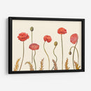 Pantalla De Amapola Coral I - Christopher J. Trew | Cuadro decorativo de Canvas Lab