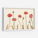 Pantalla De Amapola Coral I - Christopher J. Trew | Cuadro decorativo de Canvas Lab
