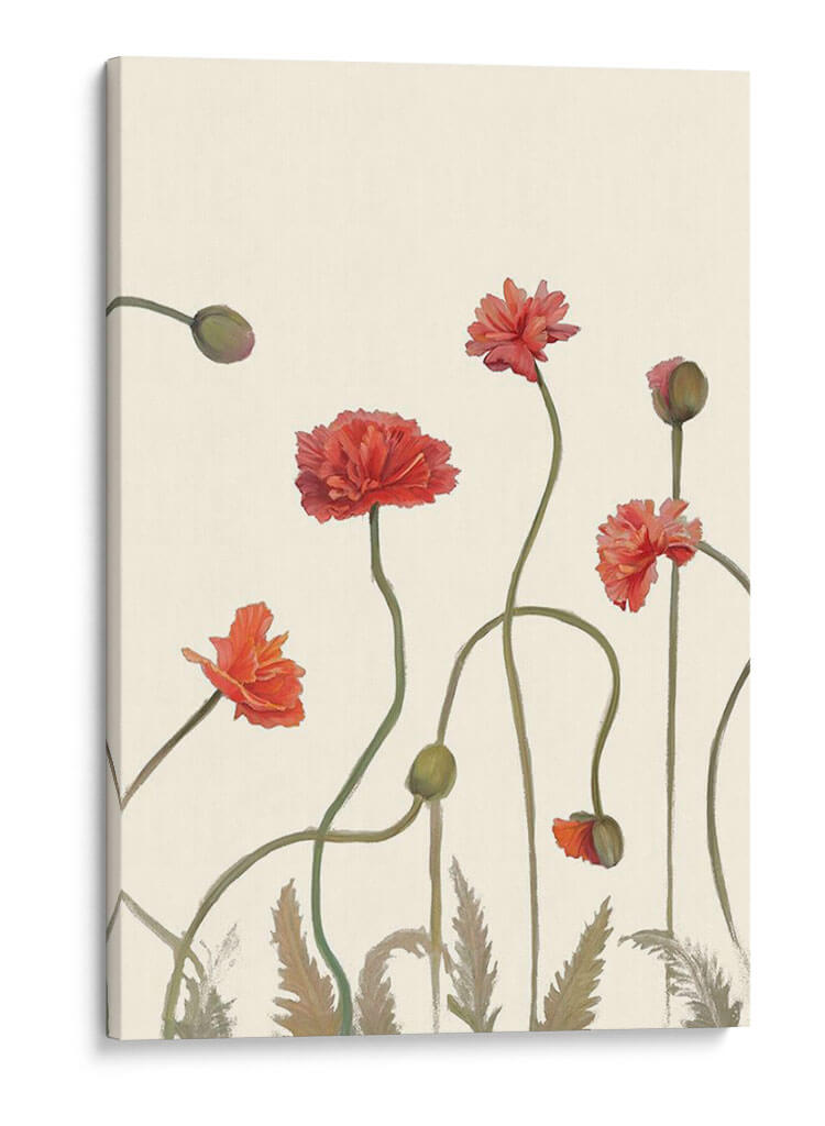 Pantalla De Amapola Coral Iii - Christopher J. Trew | Cuadro decorativo de Canvas Lab