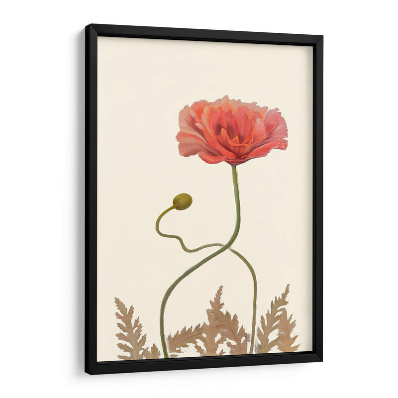 Pantalla De Amapola Coral Iv - Christopher J. Trew | Cuadro decorativo de Canvas Lab