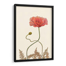 Pantalla De Amapola Coral Iv - Christopher J. Trew | Cuadro decorativo de Canvas Lab