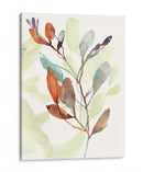 Sienna Oxy Sienna Ii - Jennifer Goldberger | Cuadro decorativo de Canvas Lab