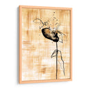 Belleza Dorada Iii - Georges Cuvier | Cuadro decorativo de Canvas Lab