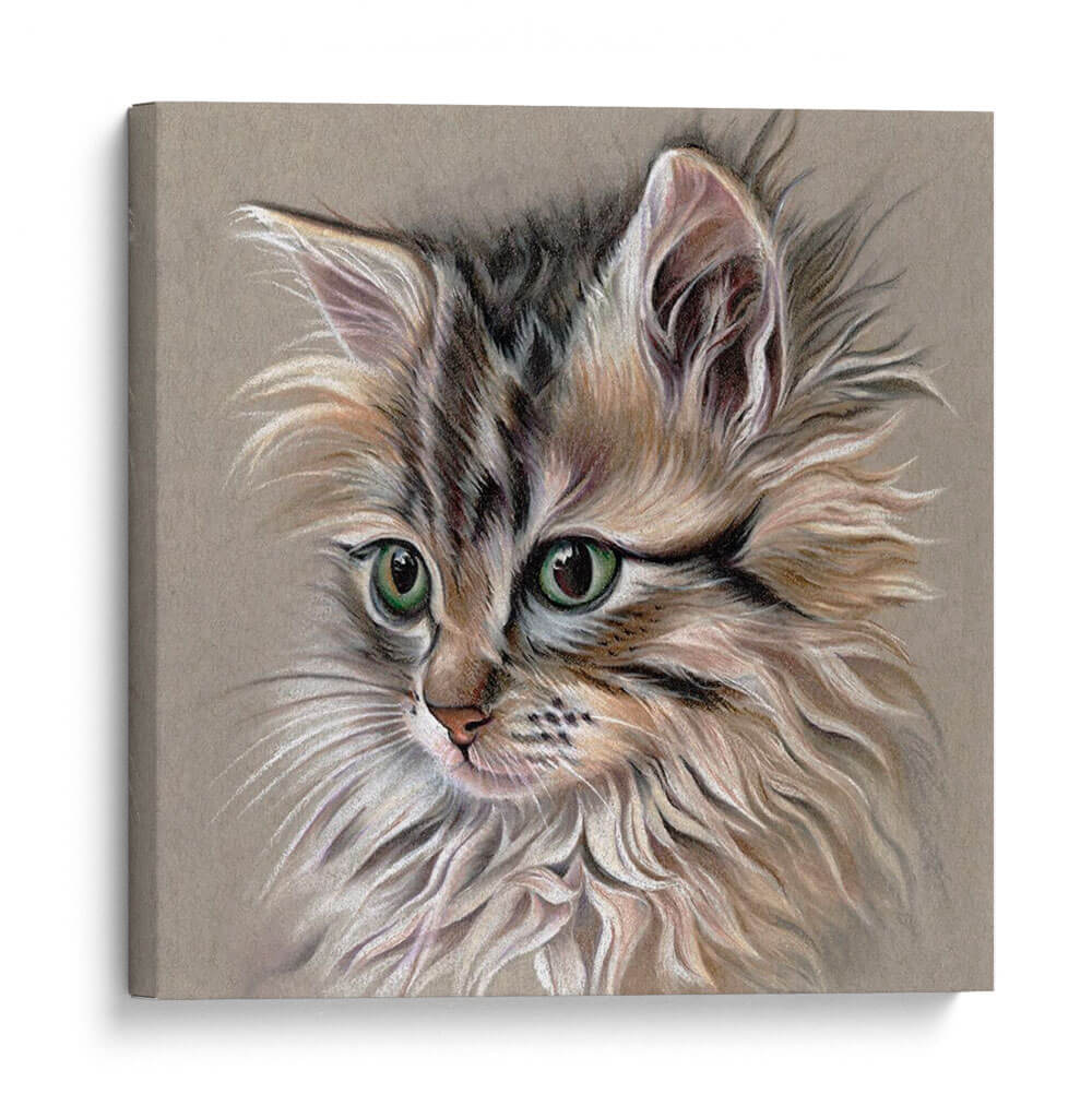 Retrato De Gatito I - Georges Cuvier | Cuadro decorativo de Canvas Lab