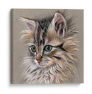 Retrato De Gatito I - Georges Cuvier | Cuadro decorativo de Canvas Lab