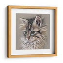 Retrato De Gatito I - Georges Cuvier | Cuadro decorativo de Canvas Lab