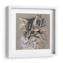 Retrato De Gatito I - Georges Cuvier | Cuadro decorativo de Canvas Lab