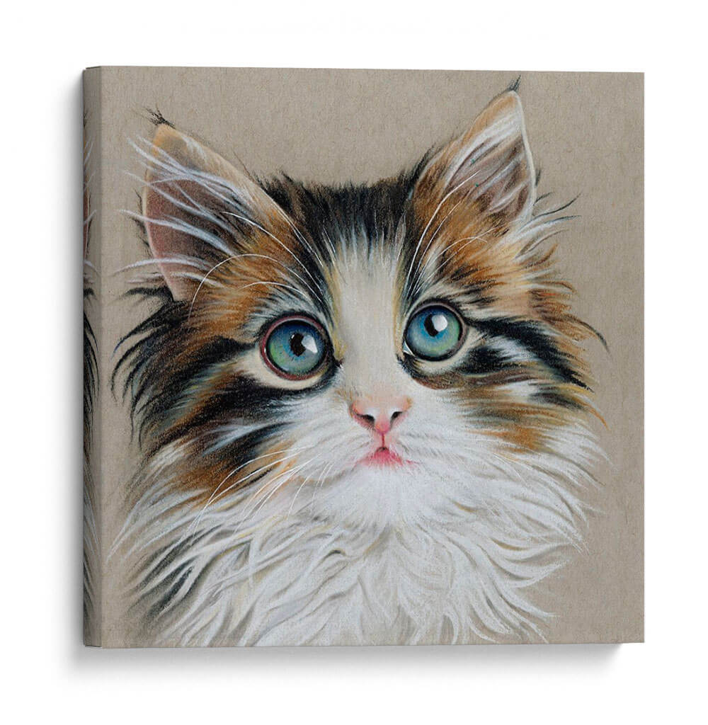 Retrato De Gatito Ii - Georges Cuvier | Cuadro decorativo de Canvas Lab