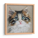 Retrato De Gatito Ii - Georges Cuvier | Cuadro decorativo de Canvas Lab