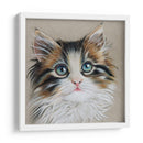 Retrato De Gatito Ii - Georges Cuvier | Cuadro decorativo de Canvas Lab