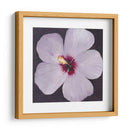 Retrato De Hibisco I - Tim OToole | Cuadro decorativo de Canvas Lab