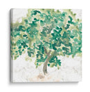 País Árbol Ii - June Erica Vess | Cuadro decorativo de Canvas Lab