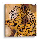 Retrato Leopardo I - B. Hoola Van Nooten | Cuadro decorativo de Canvas Lab