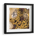 Retrato Leopardo I - B. Hoola Van Nooten | Cuadro decorativo de Canvas Lab