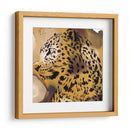 Retrato Leopardo I - B. Hoola Van Nooten | Cuadro decorativo de Canvas Lab