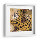 Retrato Leopardo I - B. Hoola Van Nooten | Cuadro decorativo de Canvas Lab