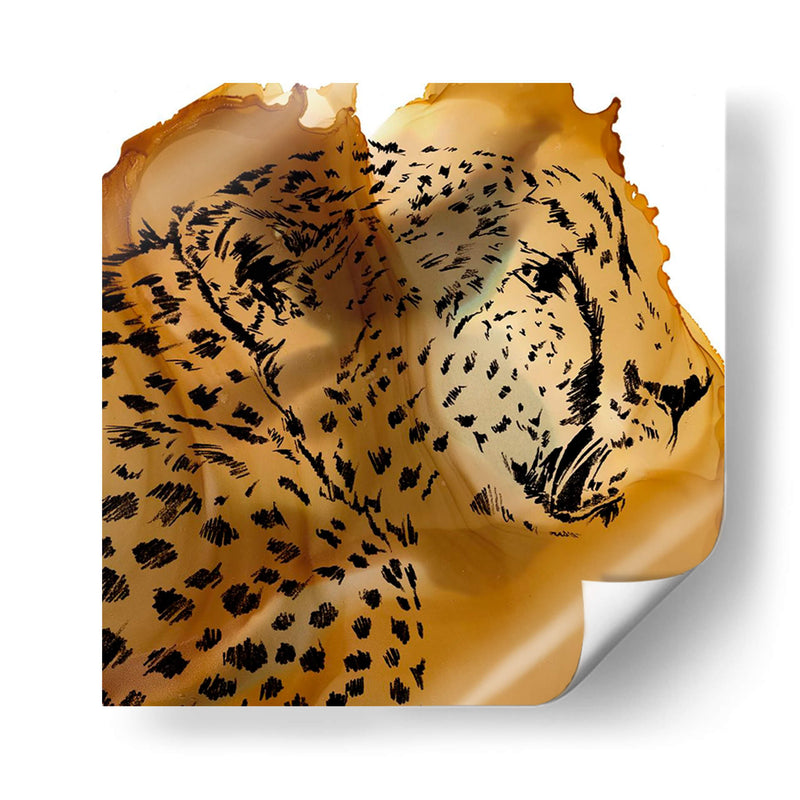 Retrato Leopardo Ii - B. Hoola Van Nooten | Cuadro decorativo de Canvas Lab