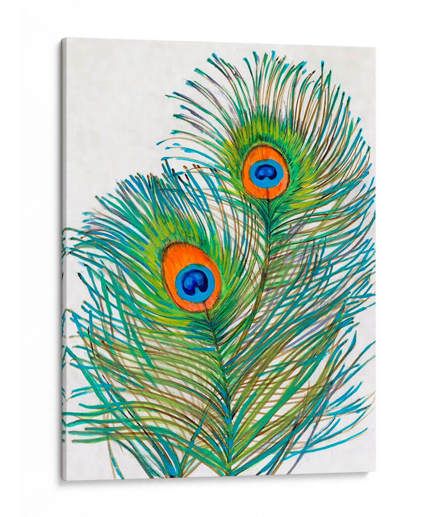 Vívidos Plumas De Pavo Real I - Tim OToole | Cuadro decorativo de Canvas Lab