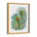 Vívidos Plumas De Pavo Real I - Tim OToole | Cuadro decorativo de Canvas Lab