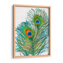 Vívidos Plumas De Pavo Real I - Tim OToole | Cuadro decorativo de Canvas Lab