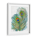 Vívidos Plumas De Pavo Real I - Tim OToole | Cuadro decorativo de Canvas Lab