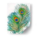 Vívidos Plumas De Pavo Real I - Tim OToole | Cuadro decorativo de Canvas Lab