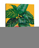 Calethea I - Grace Popp | Cuadro decorativo de Canvas Lab