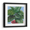 Calethea Iv - Grace Popp | Cuadro decorativo de Canvas Lab