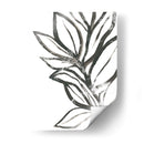 Instinto De Hoja Ii - June Erica Vess | Cuadro decorativo de Canvas Lab