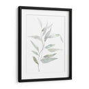 Eucialyptus Etérico Ii - Jennifer Goldberger | Cuadro decorativo de Canvas Lab