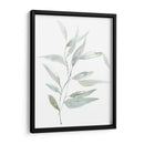 Eucialyptus Etérico Ii - Jennifer Goldberger | Cuadro decorativo de Canvas Lab