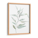 Eucialyptus Etérico Ii - Jennifer Goldberger | Cuadro decorativo de Canvas Lab