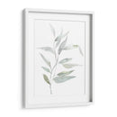 Eucialyptus Etérico Ii - Jennifer Goldberger | Cuadro decorativo de Canvas Lab
