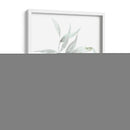 Eucialyptus Etérico Ii - Jennifer Goldberger | Cuadro decorativo de Canvas Lab