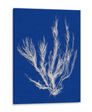 Pop Vi Pop Vi - Vision Studio | Cuadro decorativo de Canvas Lab