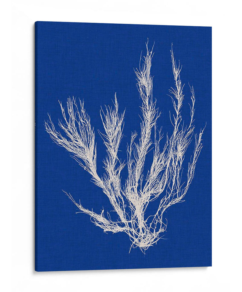 Pop Vi Pop Vi - Vision Studio | Cuadro decorativo de Canvas Lab